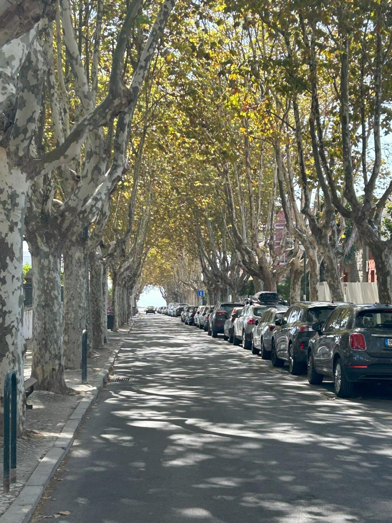 Mar Verde - Parede-Cascais Exterior foto